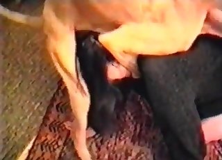 Skinny dog fucks like a crazy