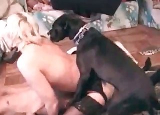 침대에서 금발녀와 그녀의 강아지