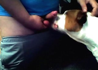 Dog slurps my ass from behind