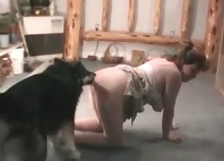 Fat slut and her gifted husky
