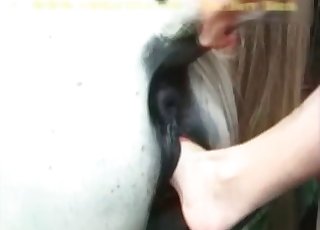 Incredible fisting session for a beautiful horse with big libido
