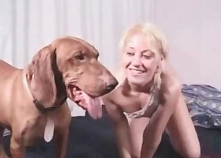 Rapid and passionate pet sex action