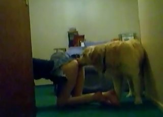 Uncovering my cunt for a doggy