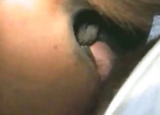 種牡馬はアナル指入れが大好き