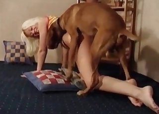 Bleget hore elsker sit dyr