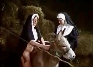 Filthy nuns in the zoophilia porn