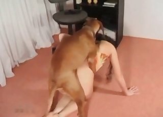 Doggy is enjoying my wife