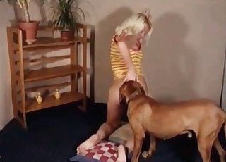 Mutt quickly licking my pussy