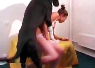 First animality sex practice