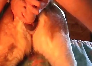 Watch him fucking that dog