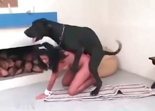 XXL animal pounds a nasty slut