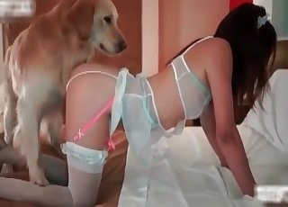 Unshaved dog drills a nasty pervert