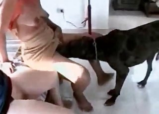 Redheads are having a nice dog