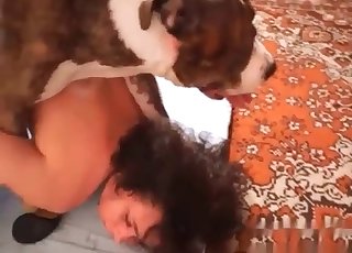 狗狗正在和一只苗条的母狗玩耍
