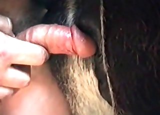 農場のアクションをクローズアップ