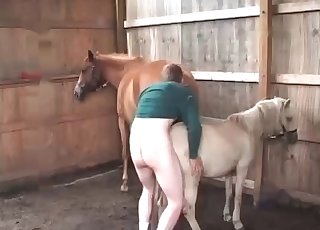 Farmer and his favorite horse
