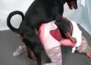 Filthy Doberman is fellating her vagina
