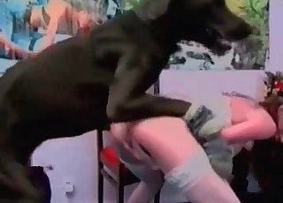 Big Doberman penetrates her twat