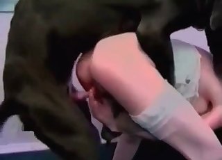 Big Doberman penetrates her twat