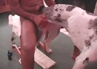 Stunning anal hookup with a dog