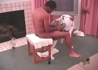 Stunning anal hookup with a dog