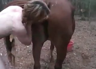 Pony enjoys perverted anal sex
