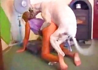 Hardcore animality in the bedroom