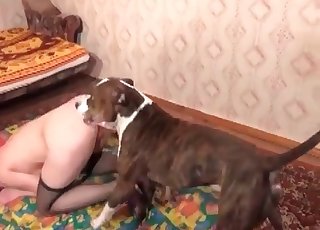 Filthy sex with a nice retriever