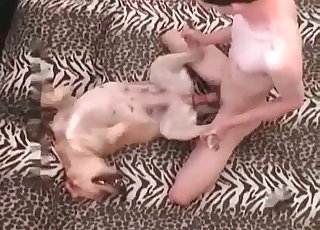 Naughty zoophile tears up a mutt