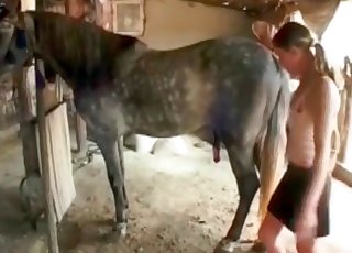 Hot grey stallion pummels her snatch
