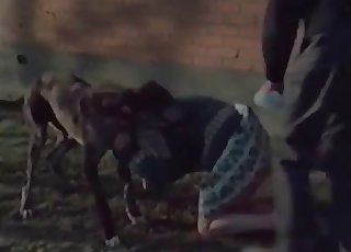 Zoophile is being fucked outdoors