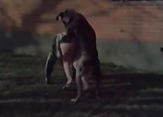 Zoophile is being fucked outdoors