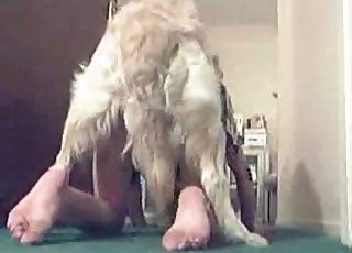 Fast and passionate sex with a dog