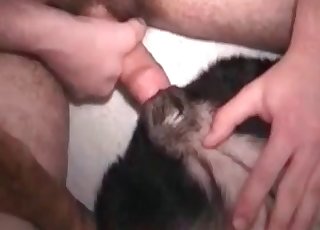 Animal asshole is looking so freaking fuckable