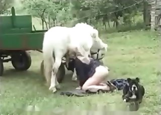 Blonde MILF blows her favorite beast