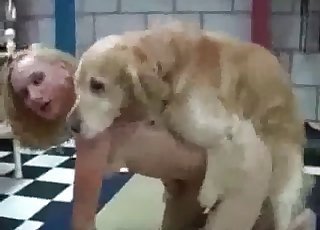 Dogs fucking fast and raw
