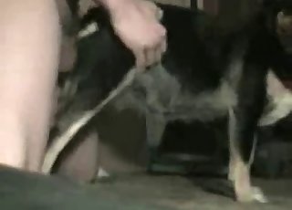 Dude fucking his obedient dog here
