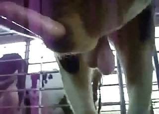 Wonderful action with a huge cock