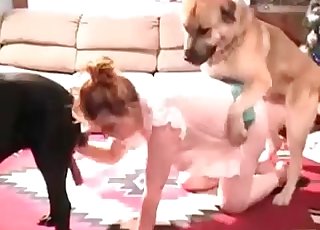 Amazing doggy loving her juicy vagina