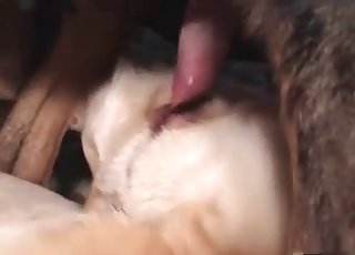 Close-up action showing something hot