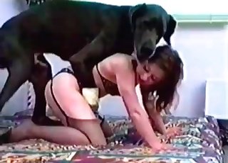 Extremely hot bestiality vid here