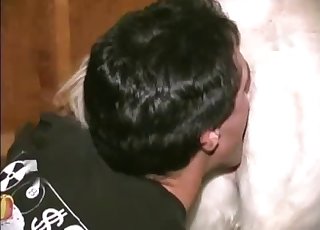 Stimulating tight anus of a sexy horse