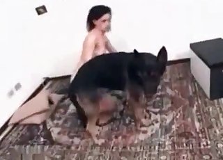 Perfectly hot chick in amazing dog bestiality
