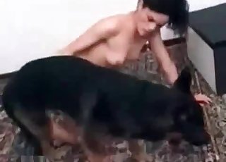 Perfectly hot chick in amazing dog bestiality
