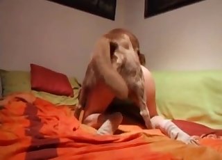 Sexy ass nicely penetrated by amazing doggy