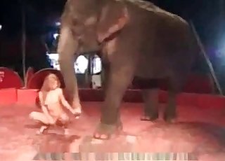 Naked girl is getting in the animal sex
