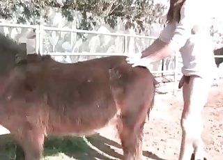 Sexy animal fucked nicely by amazing farmer