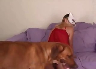 Kitty mask chick is about to fuck a dog