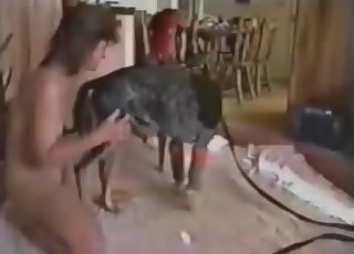 Amazing action with a big-cocked dog