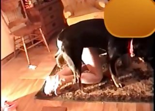 Craziest zoo porn you've seen